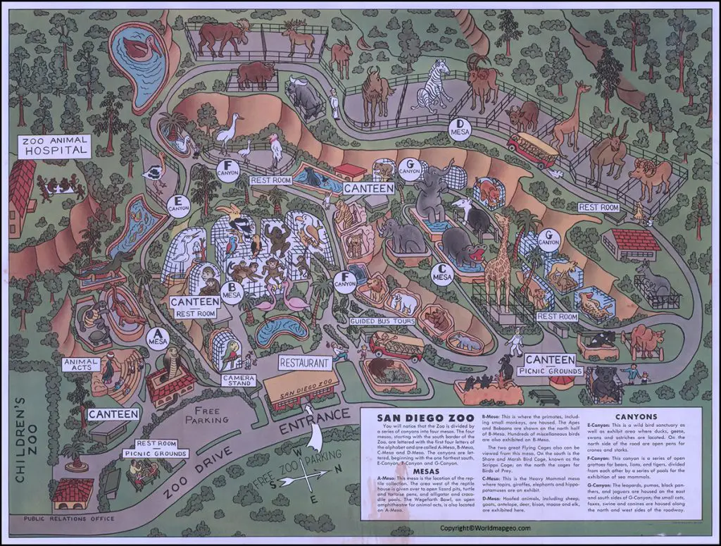 Printable San Diego Zoo Map