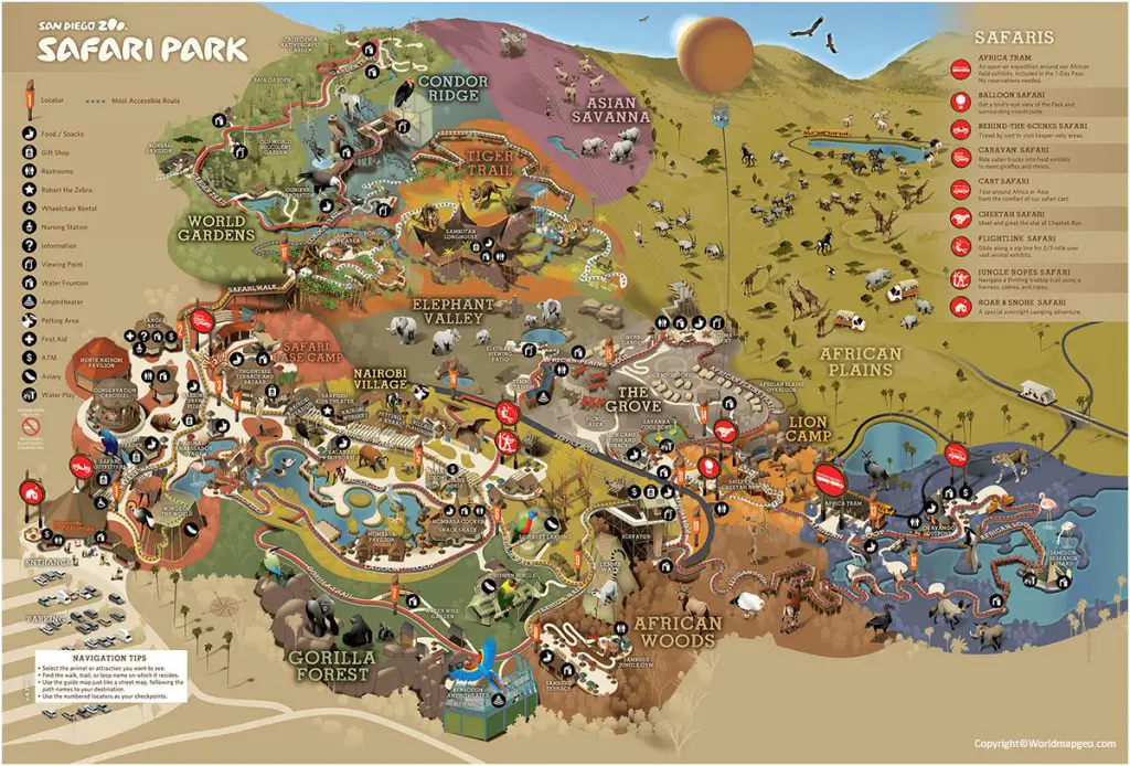 San Diego Zoo Map [San Diego Zoo Safari Park Map] in Pdf