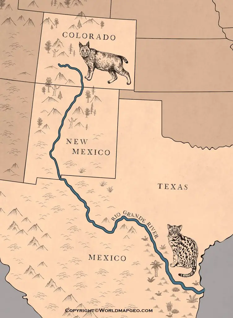 Rio Grande River Texas Map